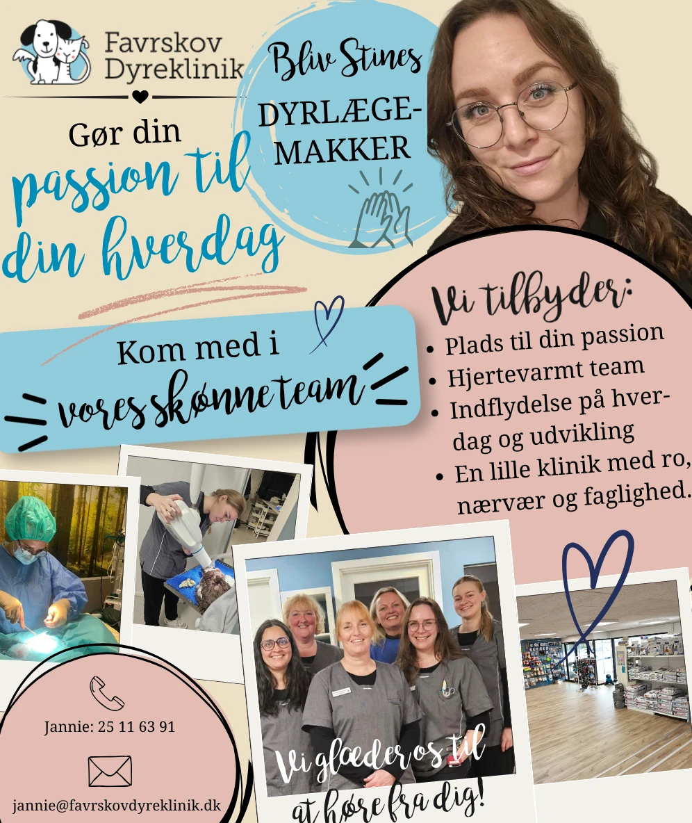 Dyrlæge job Favrskov Dyreklinik