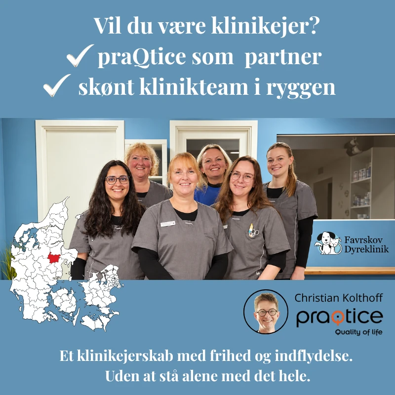 Vil du være klinikejer praQtice som partner et skønt klinikteam i ryggen (1)